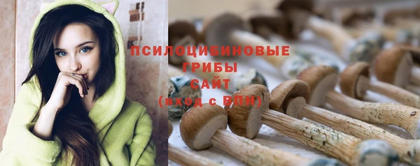бошки Волоколамск