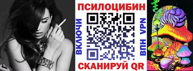 Купить  Камышлов  Псилоцибиновые грибы Psilocybe 